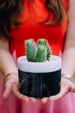 Marmi Çift Renk Saksı / Kaşıklık